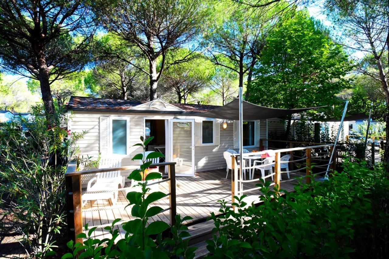 La Baume La Palmeraie Campeggio Fréjus
